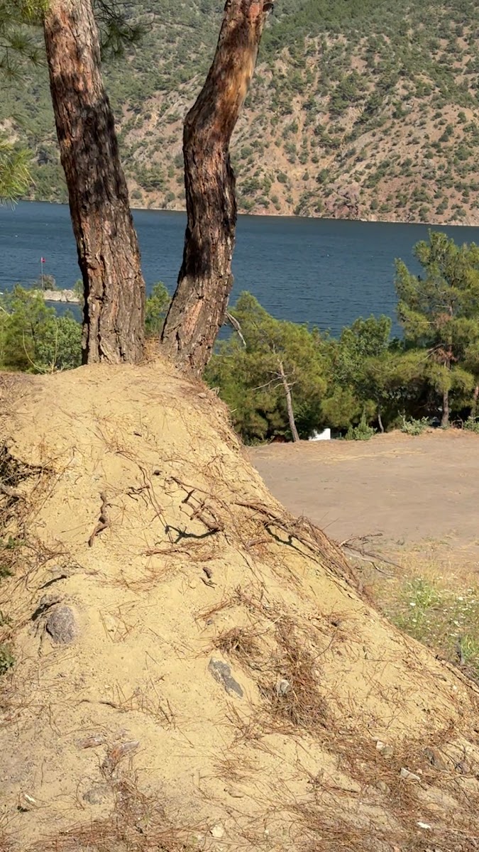Obruk Barajı Mesire Alanı — fotoğraf 2