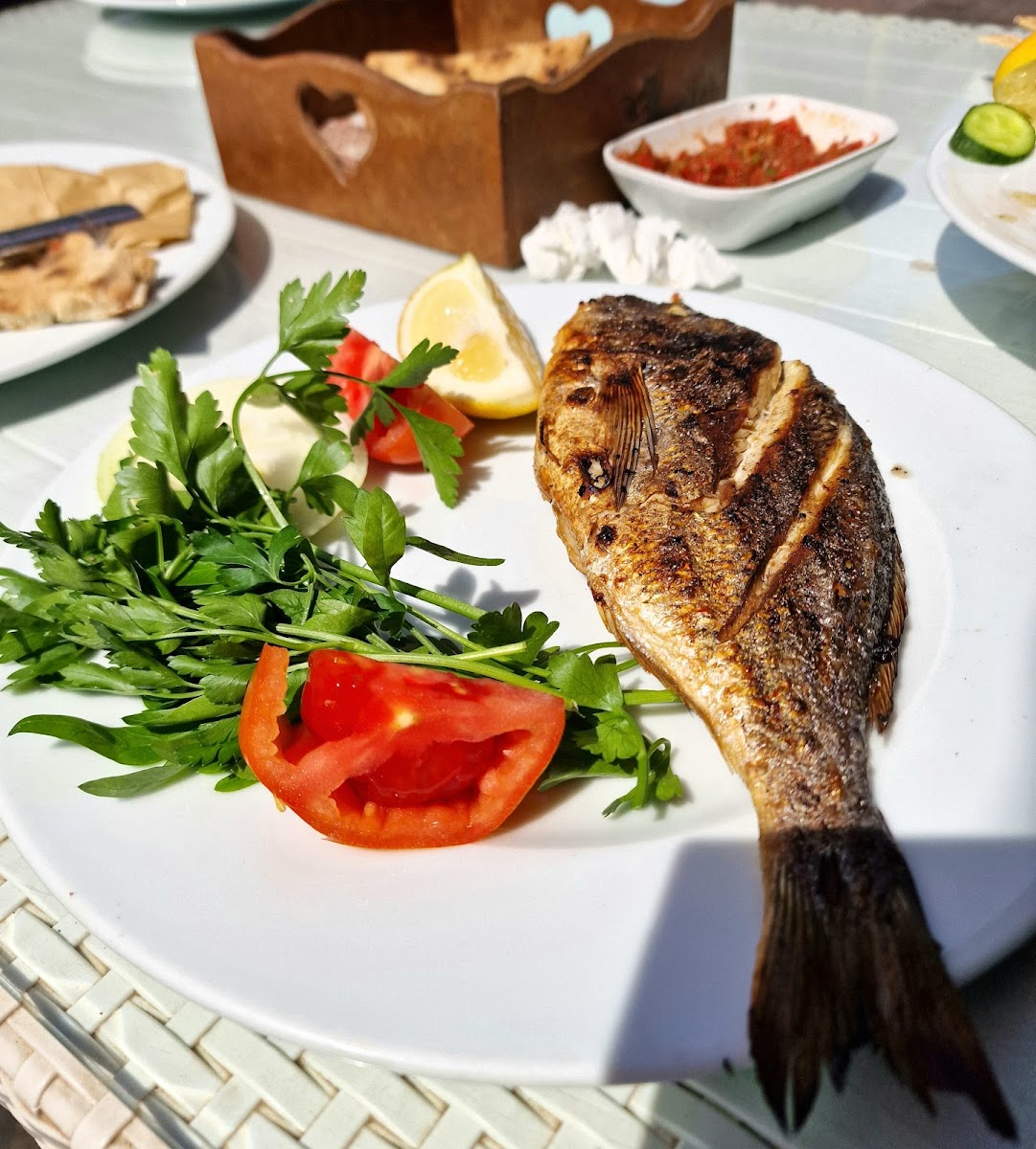 Old Town Restaurant 07 — fotoğraf 10