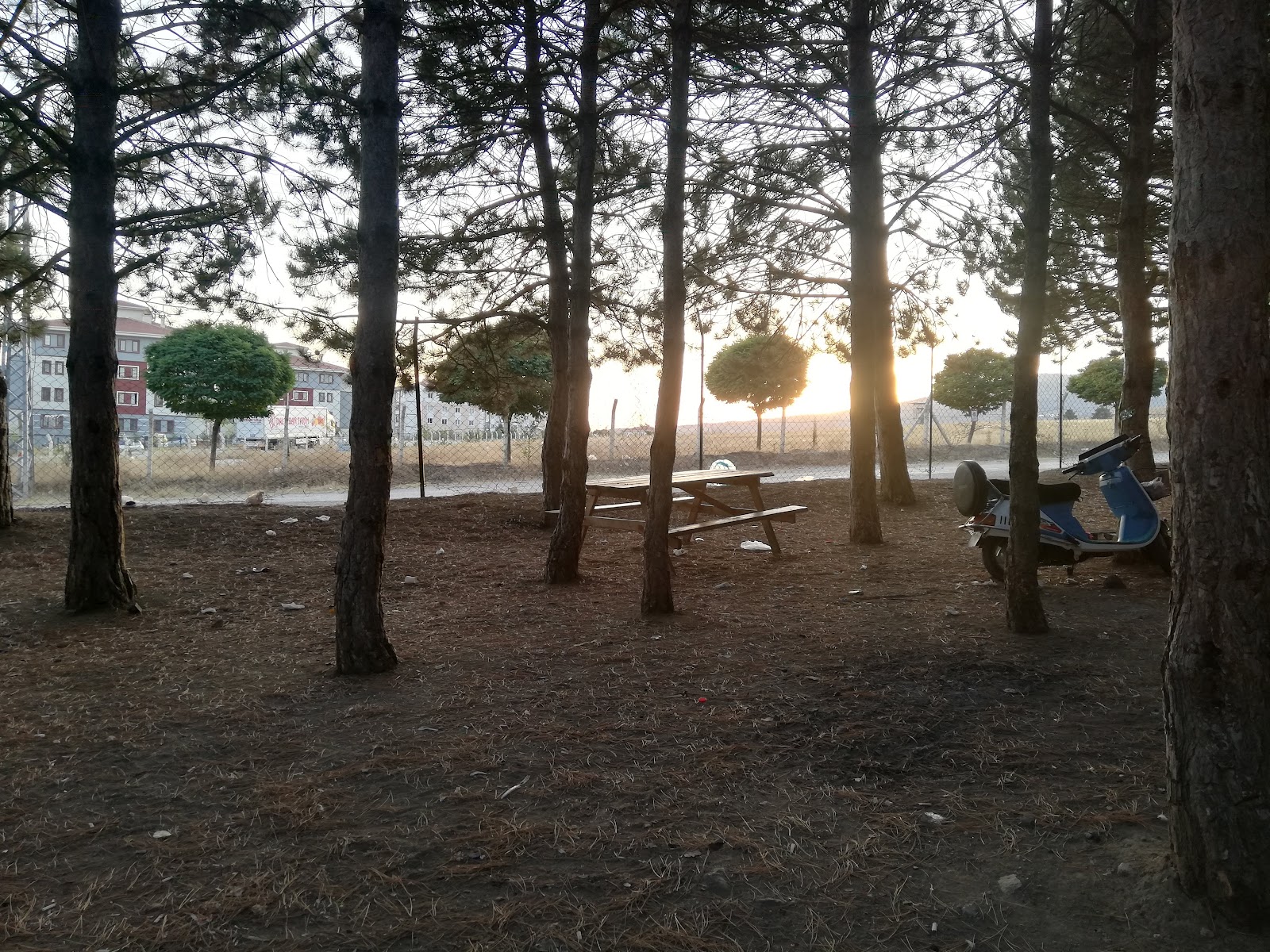 Önce Vatan Piknik Alanı — fotoğraf 1