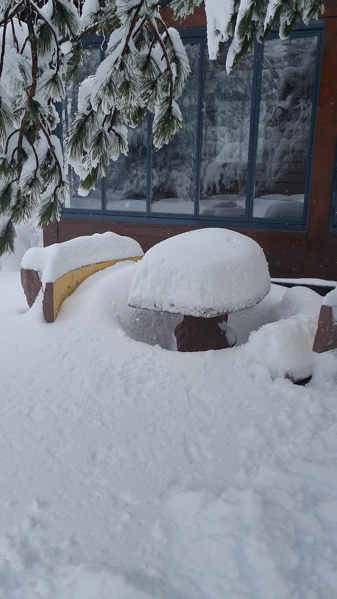 Orman Köşkleri — fotoğraf 2