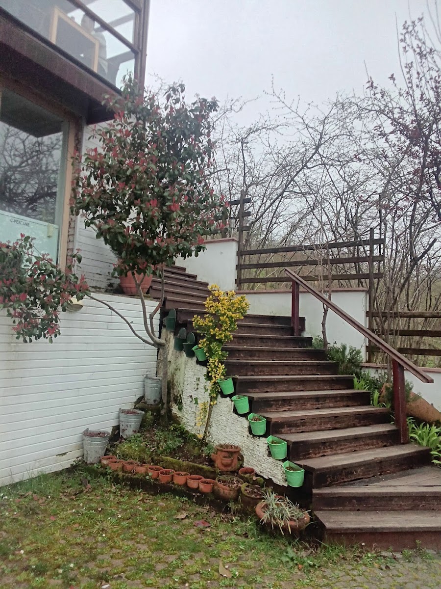 ortakahve246 — fotoğraf 2