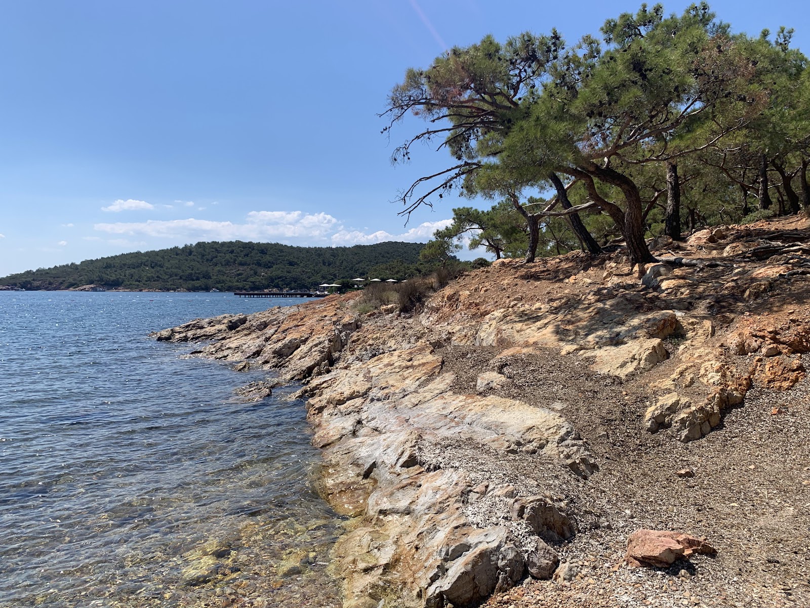 Ortunç Koyu — fotoğraf 1