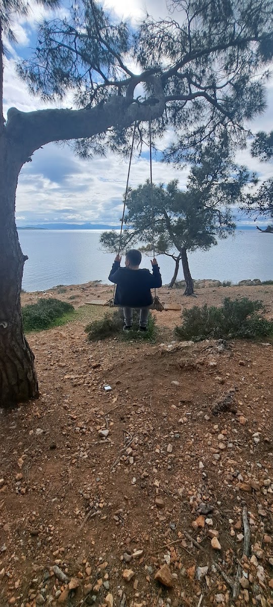 Ortunç Koyu — fotoğraf 2