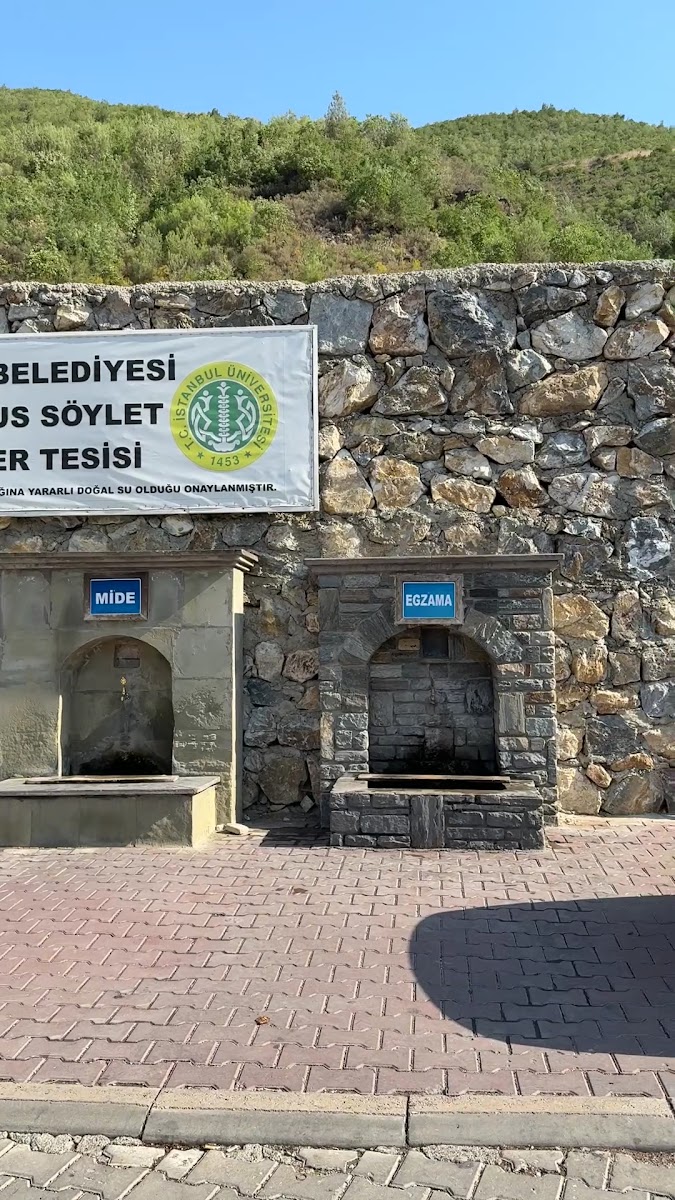 Osmaneli Belediyesi Şifalı İçmeler Tesisi — fotoğraf 5