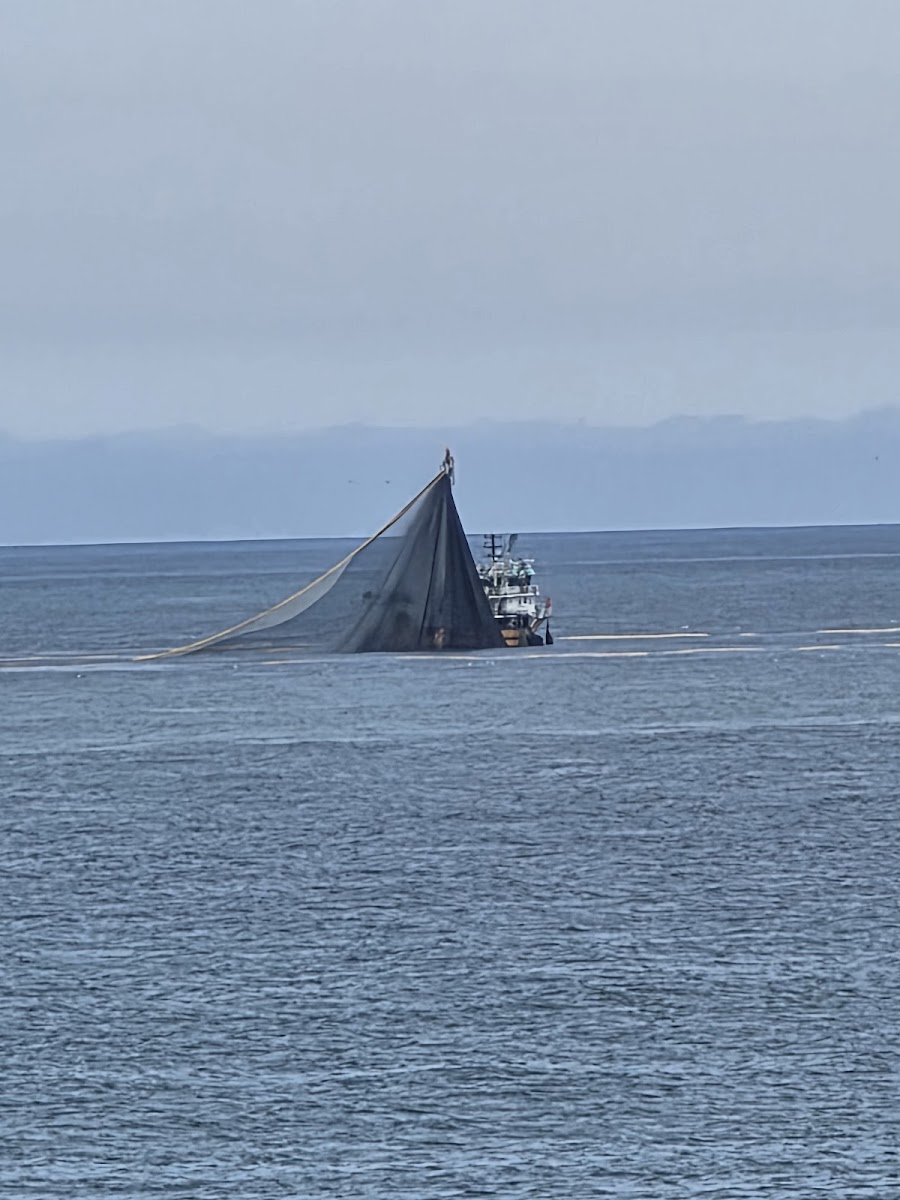 Öz Kukul Pide Salonu — fotoğraf 2