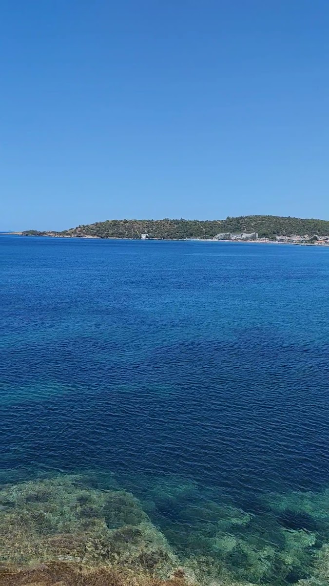 Özdere Sevgi Parkı — fotoğraf 3