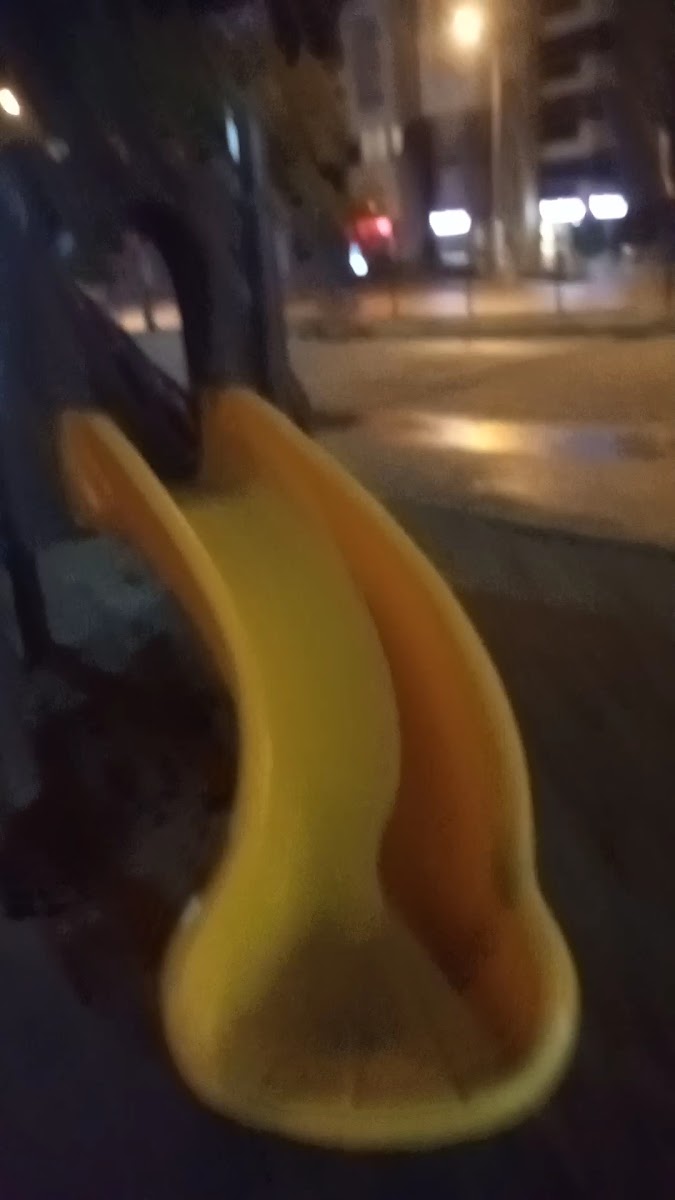 Özgür Çocuklar Parkı — fotoğraf 2