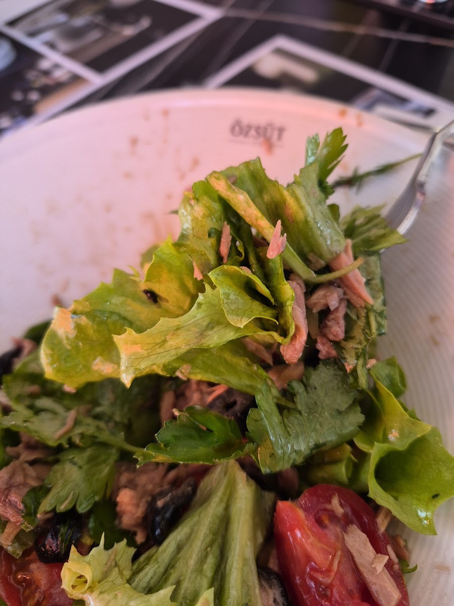 Özsüt 56’lar — fotoğraf 2