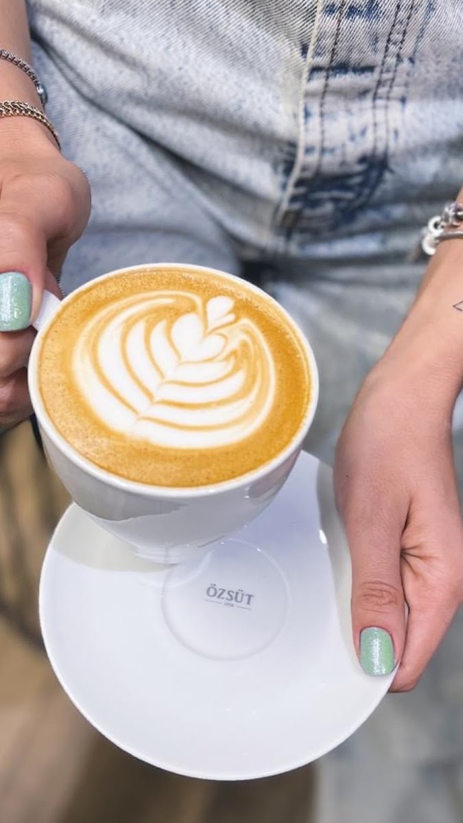 Özsüt — fotoğraf 5