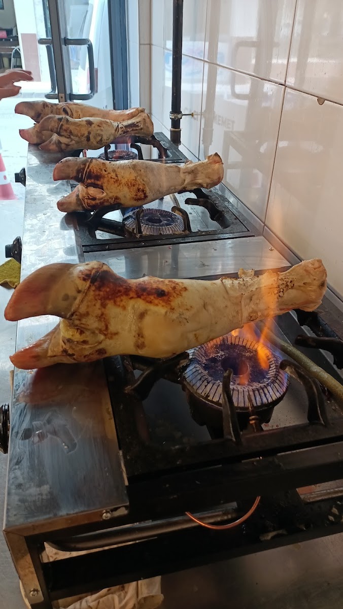 PAÇACI APO — fotoğraf 5