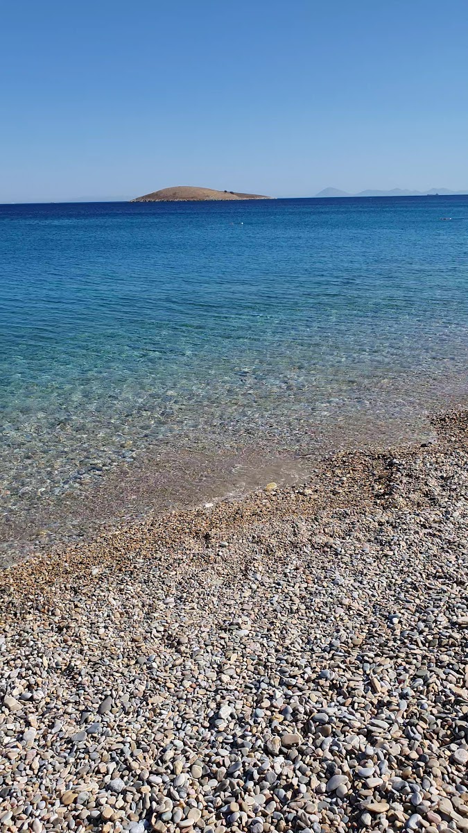 Palamutbükü Plajı — fotoğraf 3