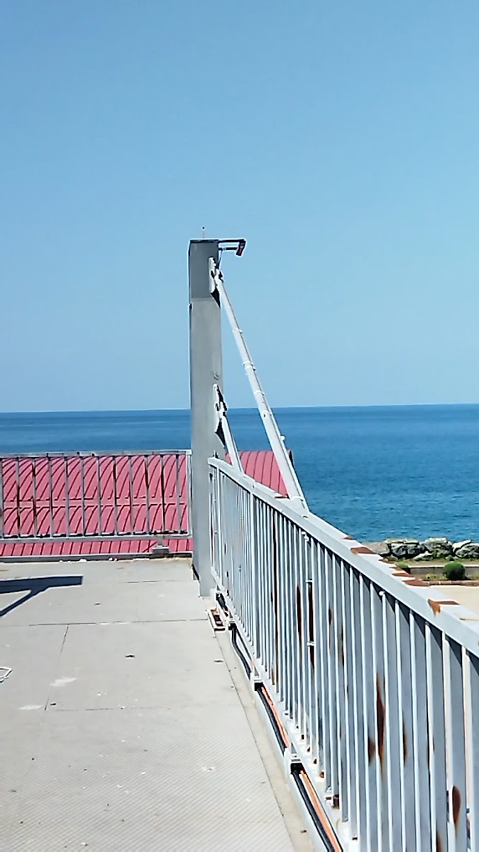 Paluri Otel Hopa — fotoğraf 3