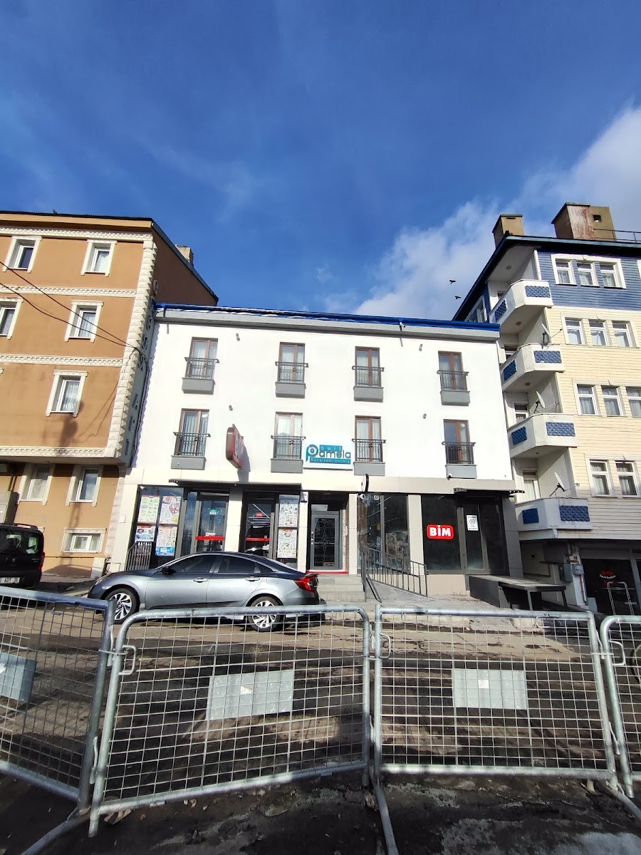 Pamela Suit — fotoğraf 4