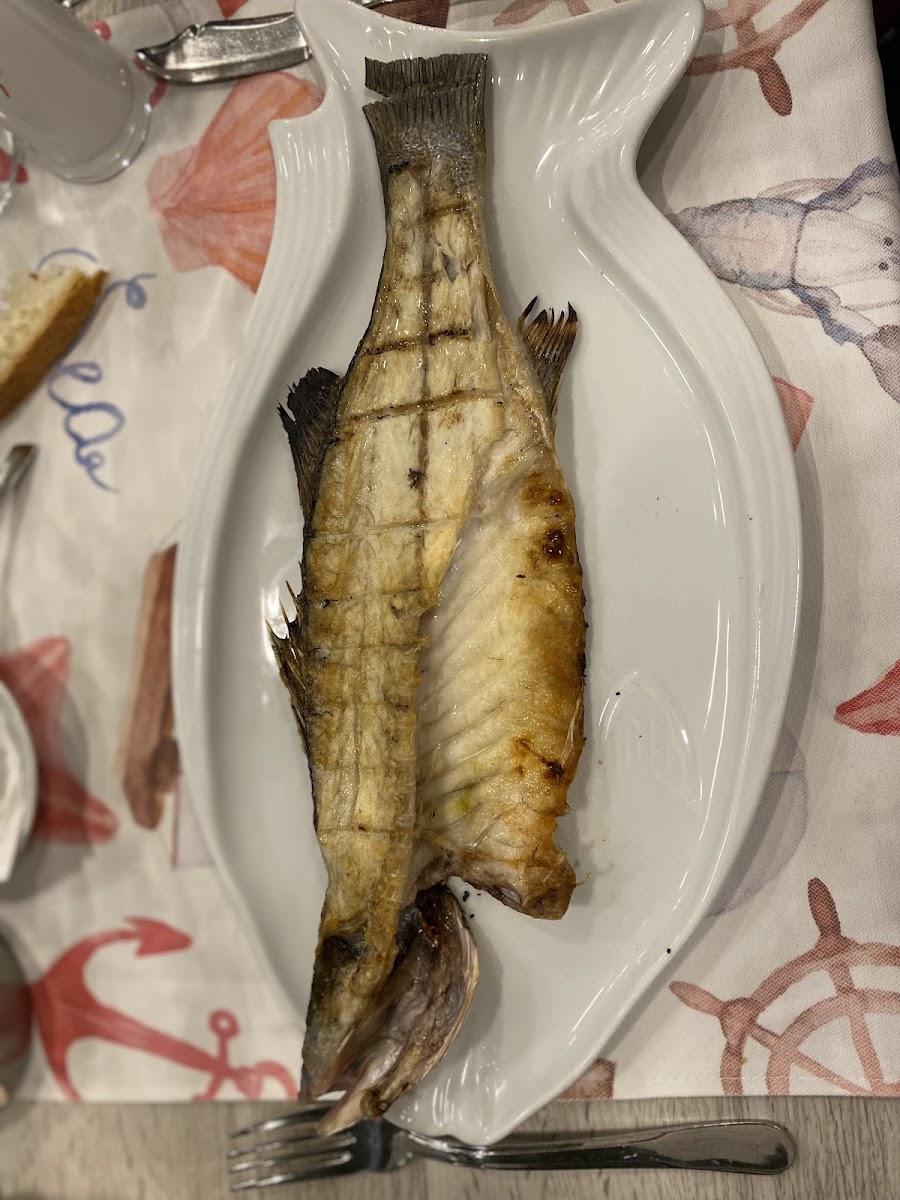 Pamuk Kardeşler Batipark — fotoğraf 7