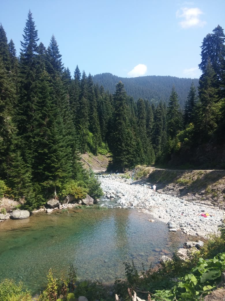 Papart Düzü(Papart Yaylası) — fotoğraf 1