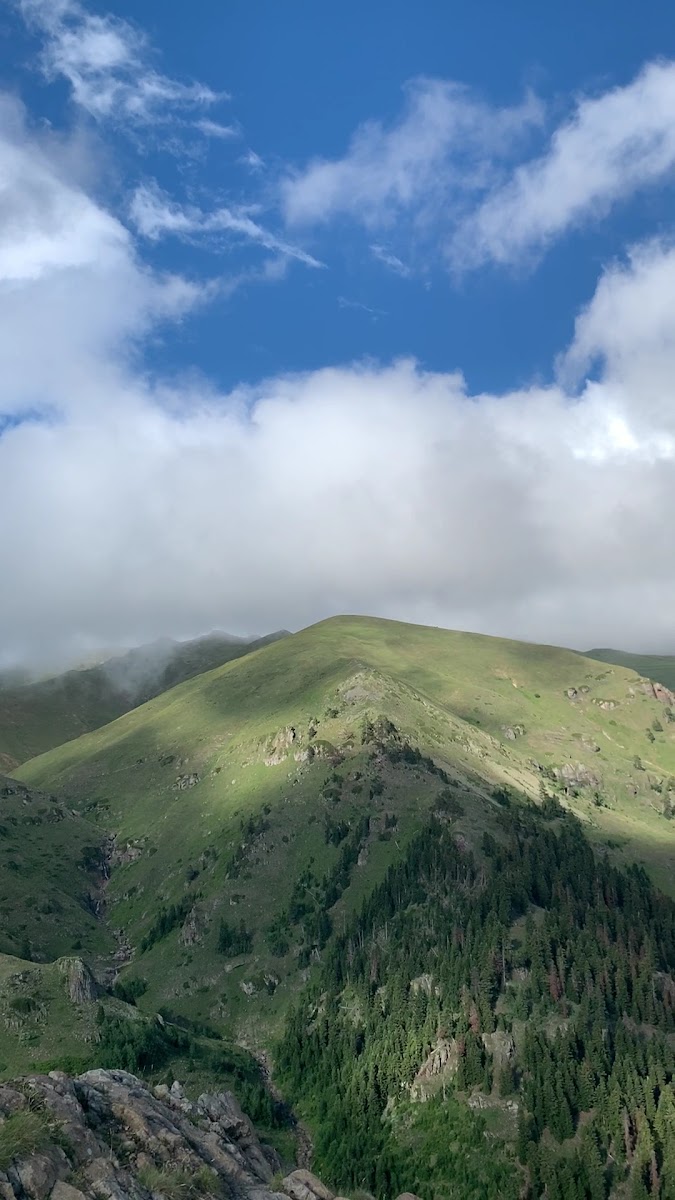 Papart Düzü(Papart Yaylası) — fotoğraf 2