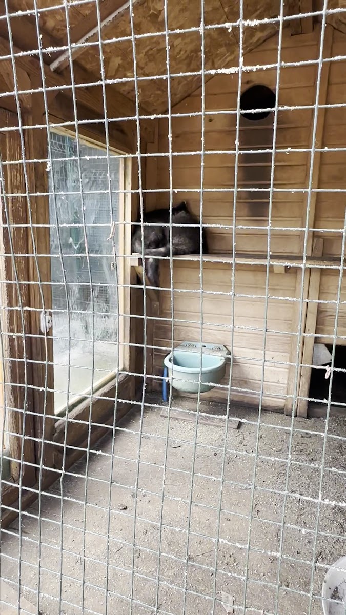 Park Of İstanbul — fotoğraf 2