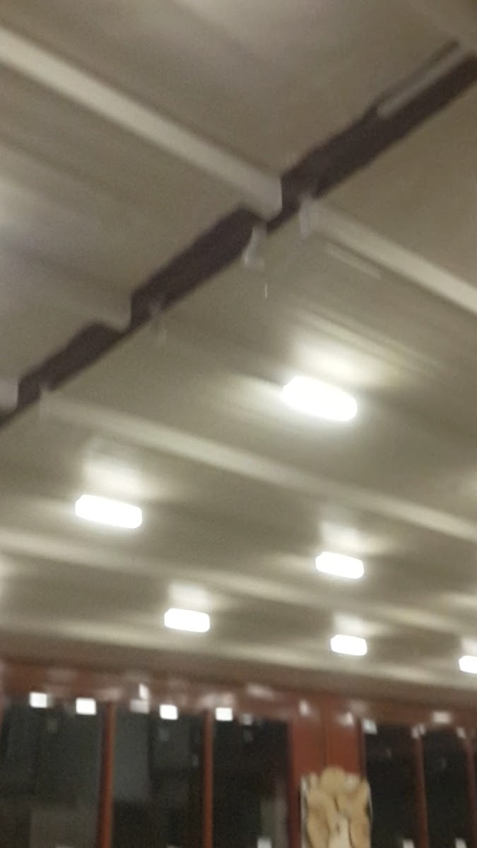 Park Prestij Otel 3 Yıldızlı — fotoğraf 3