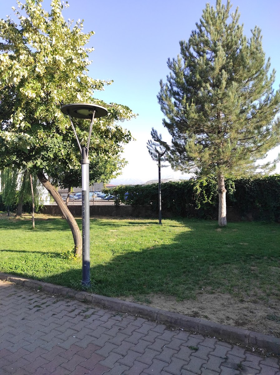 Park — fotoğraf 1