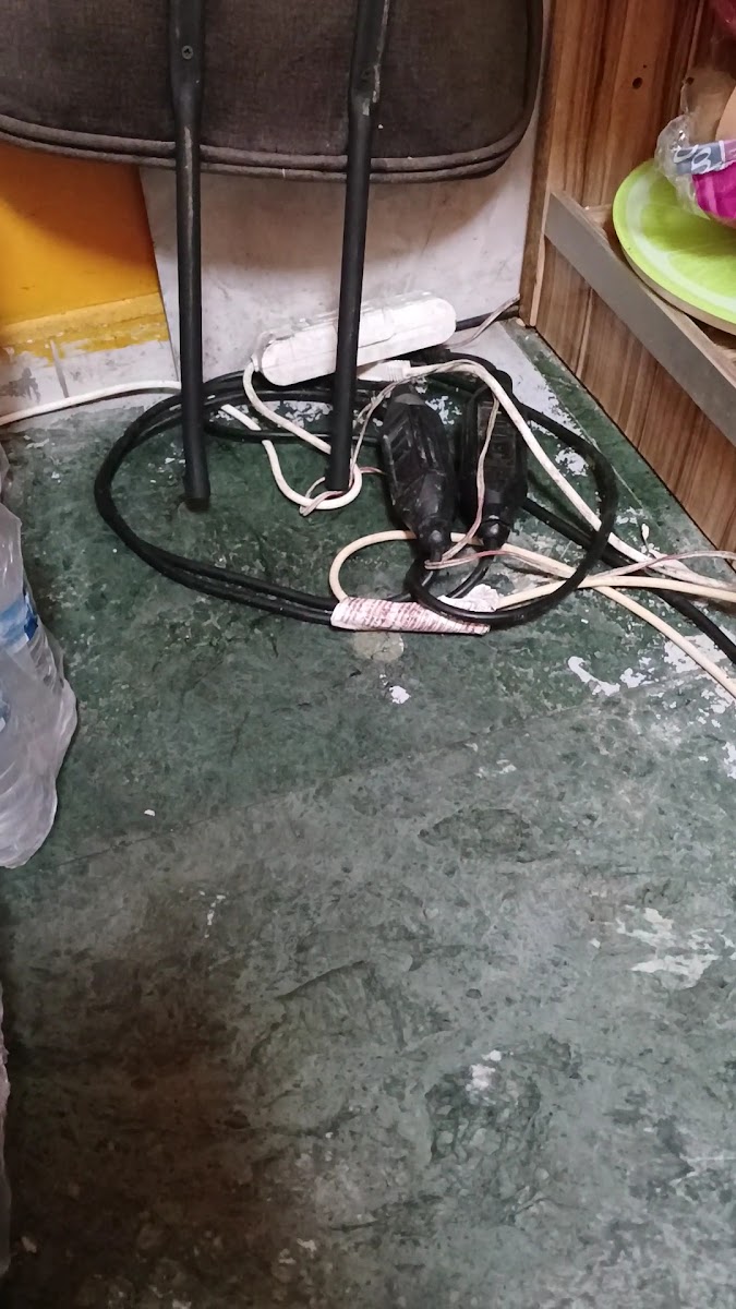 Paşa İskender Kebap Salonu — fotoğraf 3