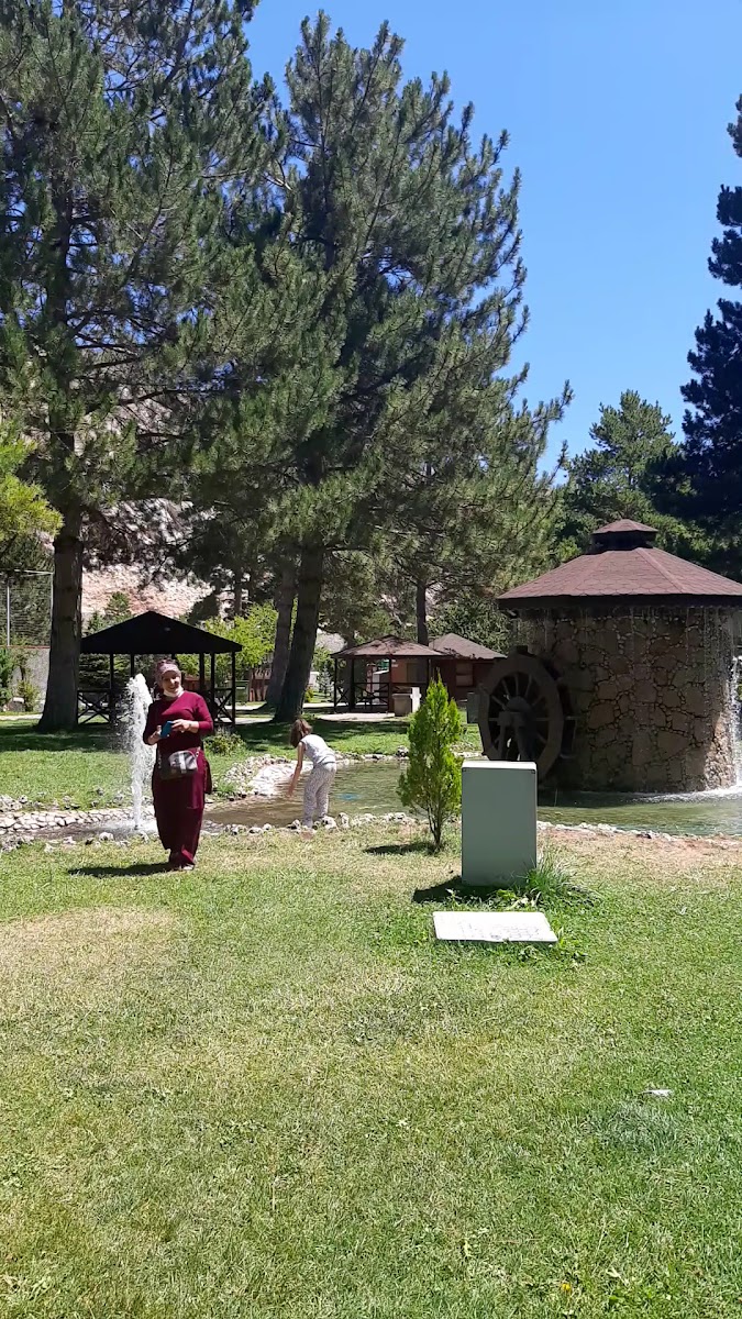 Paşabahçe -Sivas — fotoğraf 3
