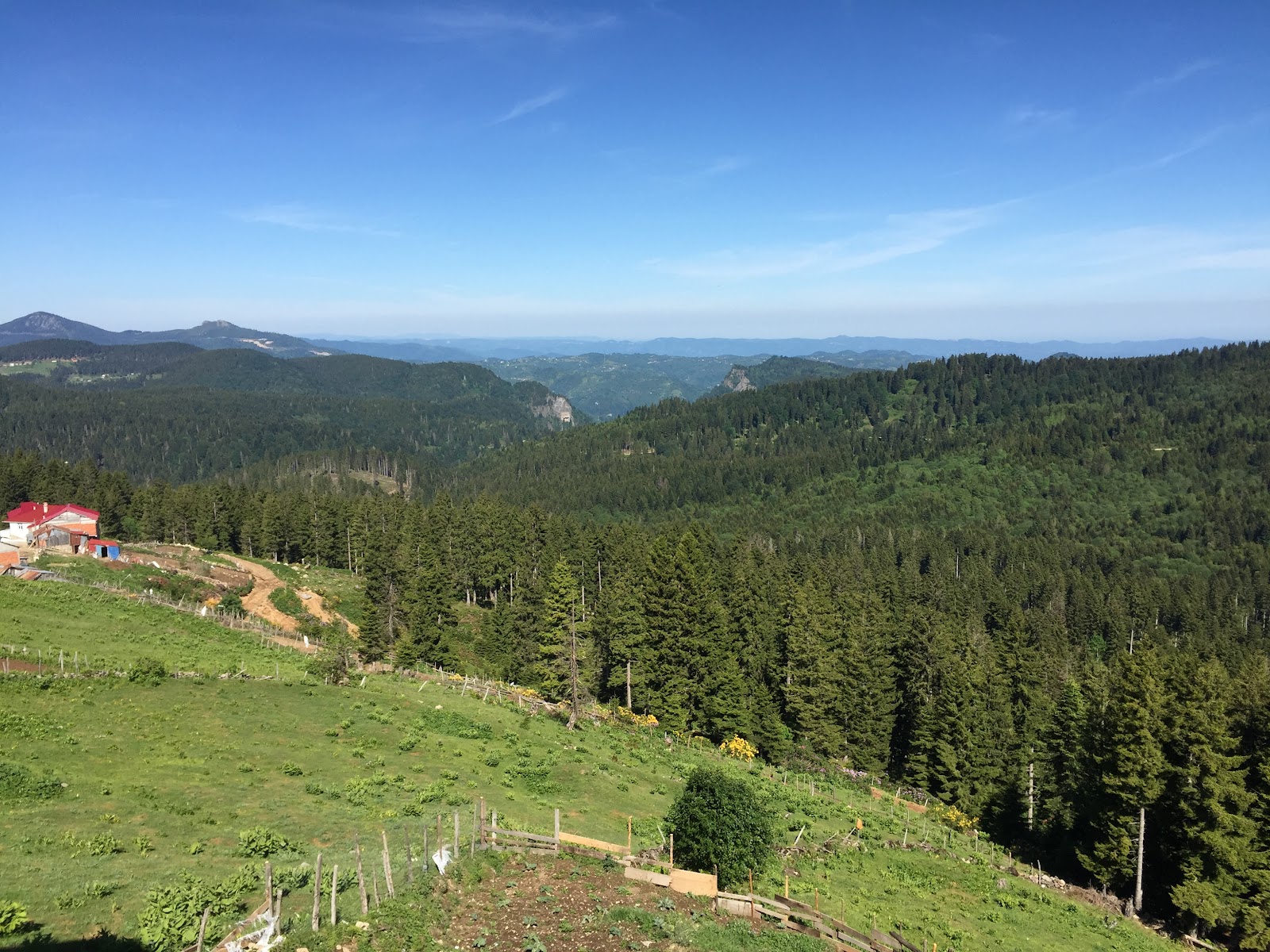 Paşakonağı Yaylası — fotoğraf 1