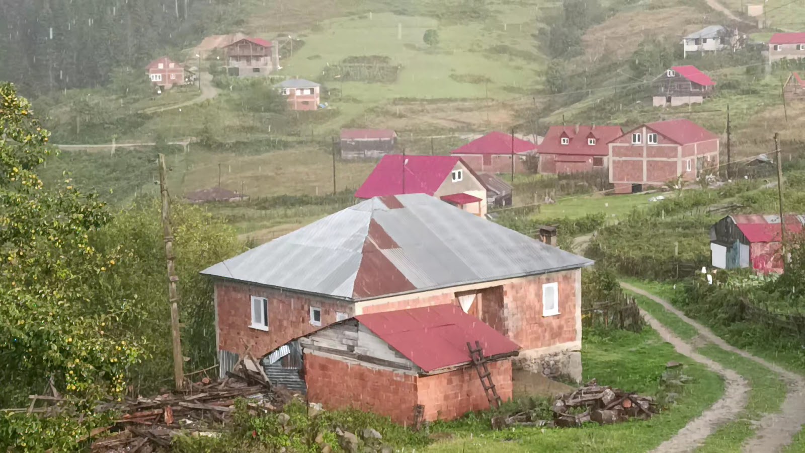 Paşakonağı Yaylası — fotoğraf 3