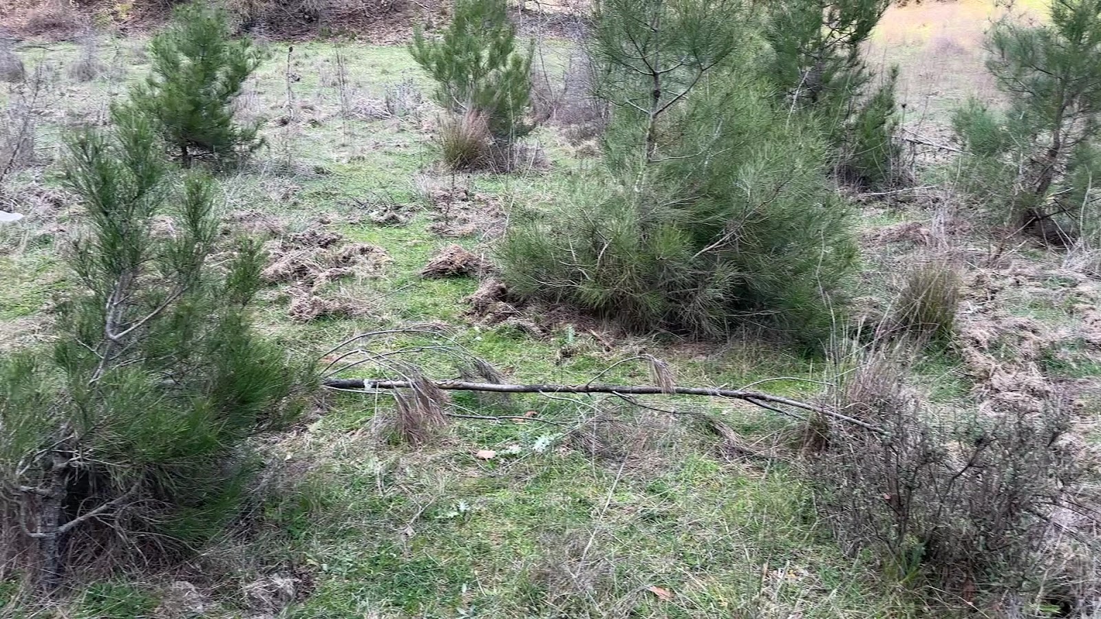 Peri Bacaları — fotoğraf 2