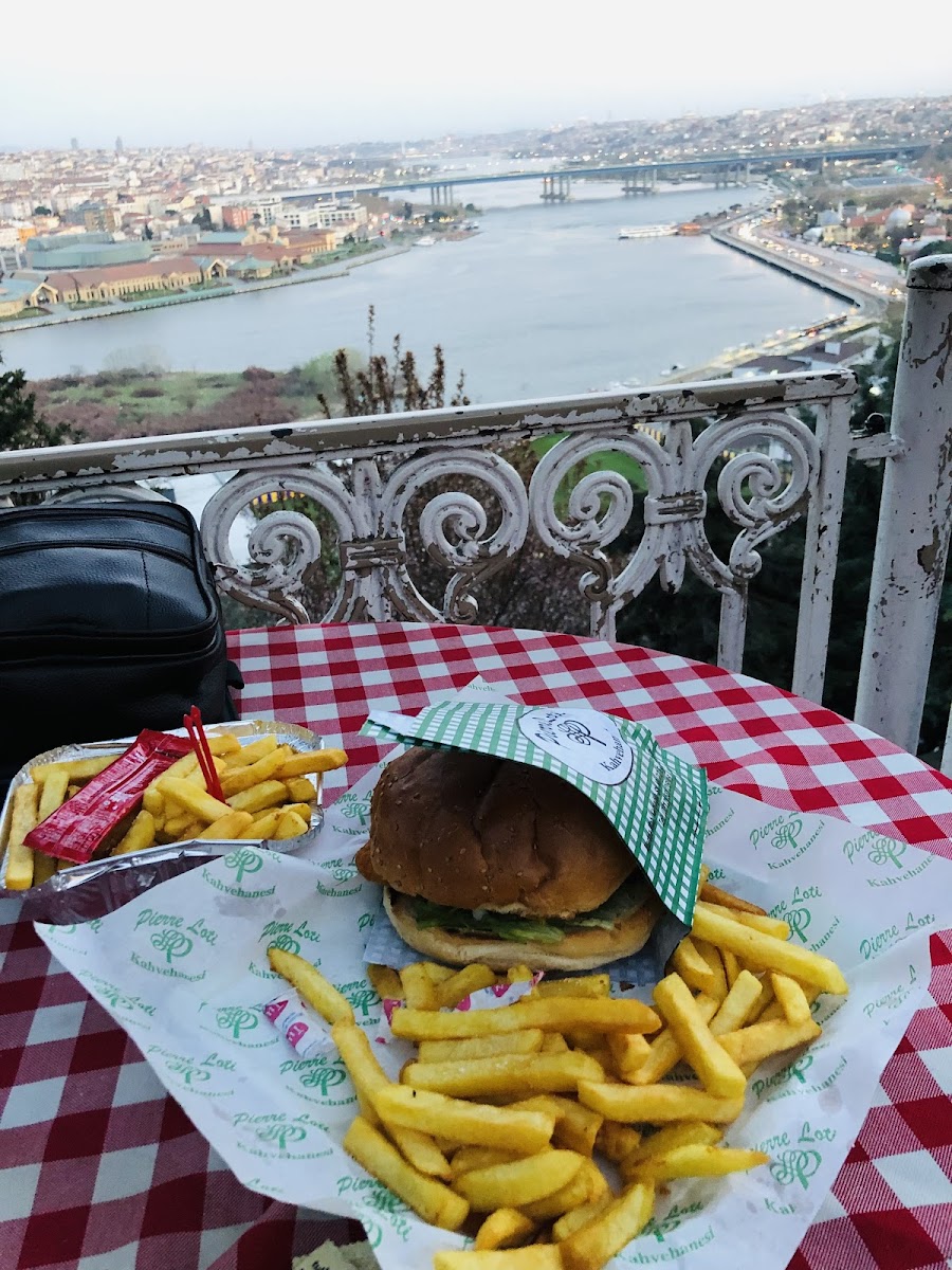 Pierre Loti — fotoğraf 10