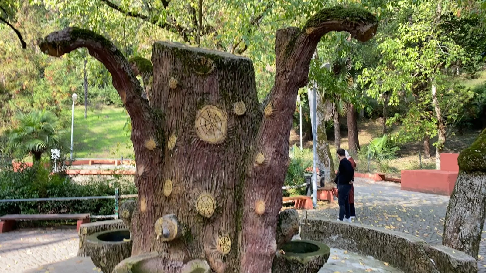 Piknik Alanı — fotoğraf 3