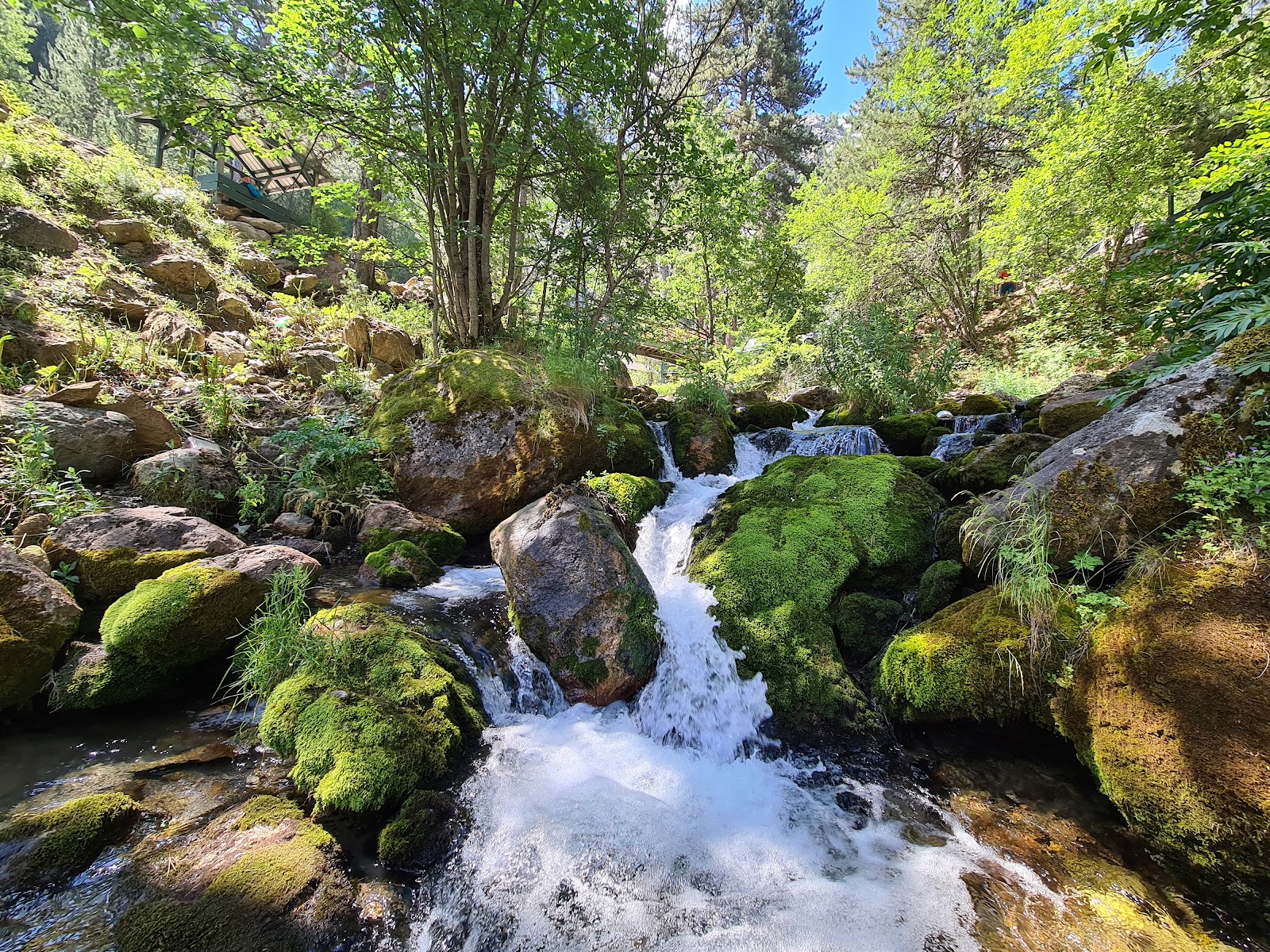 Pınargözü Mağarası Günübirlik Piknik Alanı — fotoğraf 1