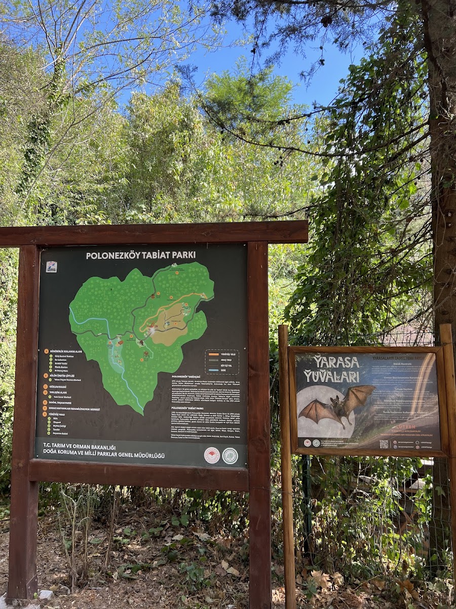 Polonezköy Tabiat Parkı — fotoğraf 5