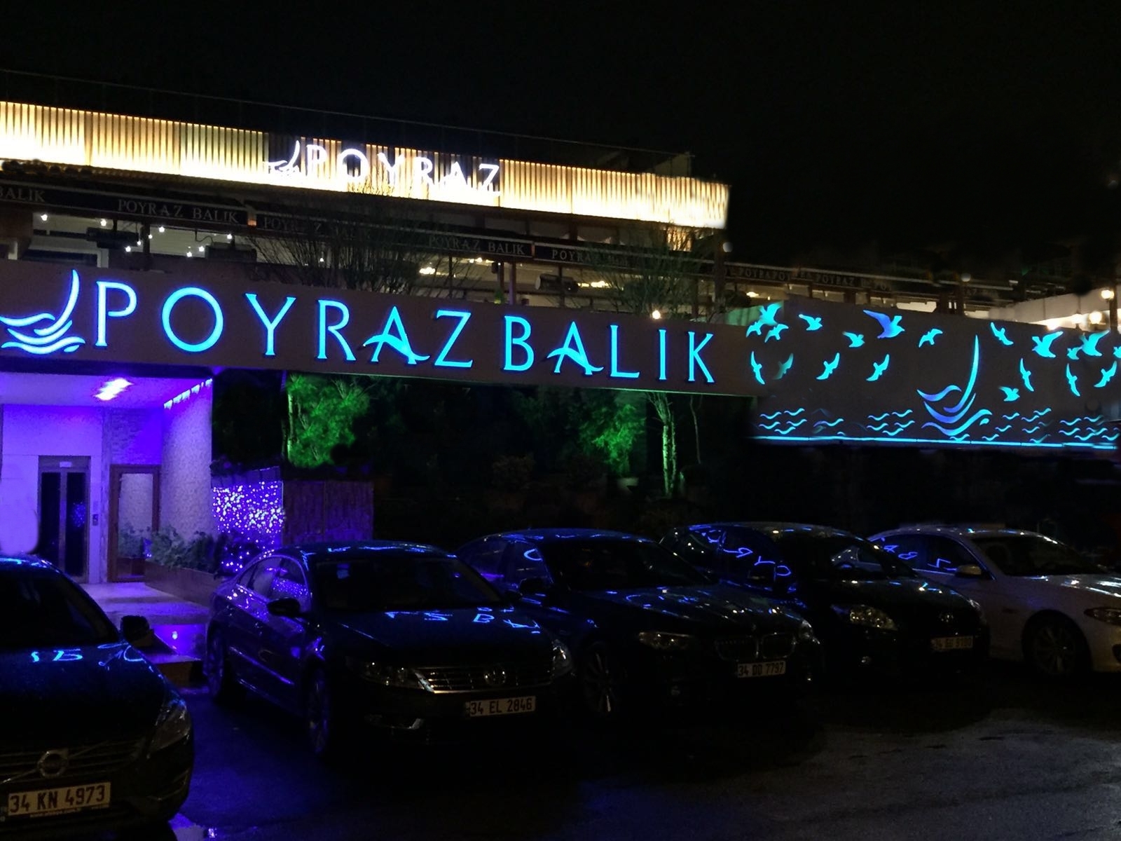 Poyraz Balık — fotoğraf 9