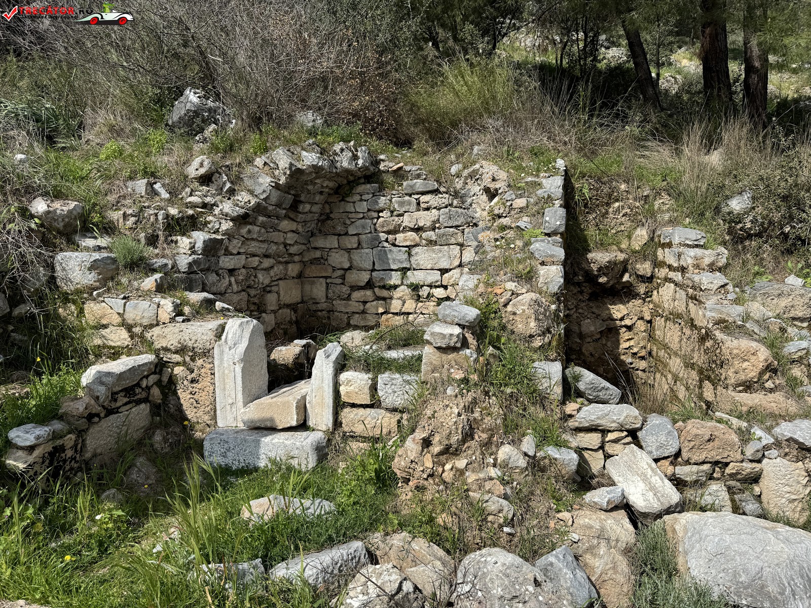 Priene Ören Yeri — fotoğraf 2