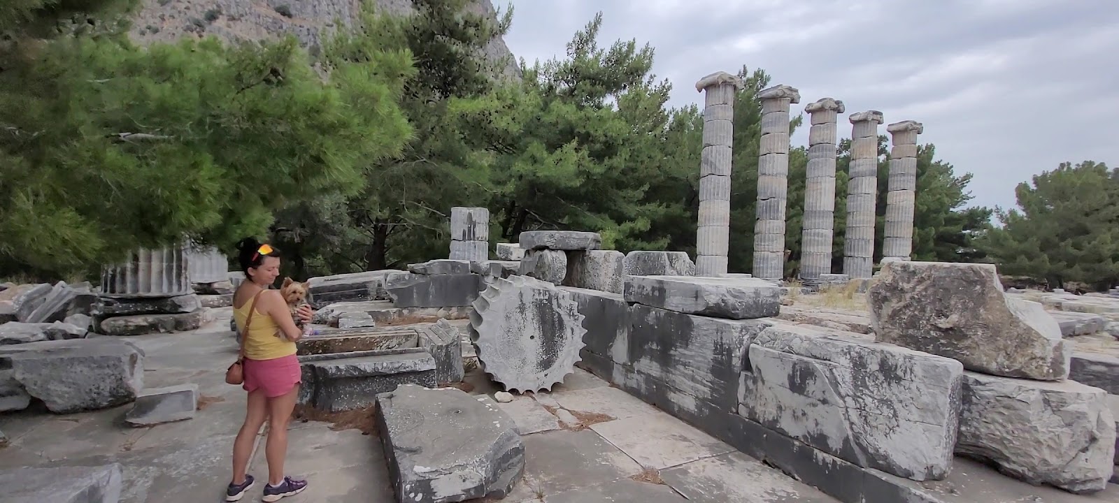 Priene Ören Yeri — fotoğraf 4