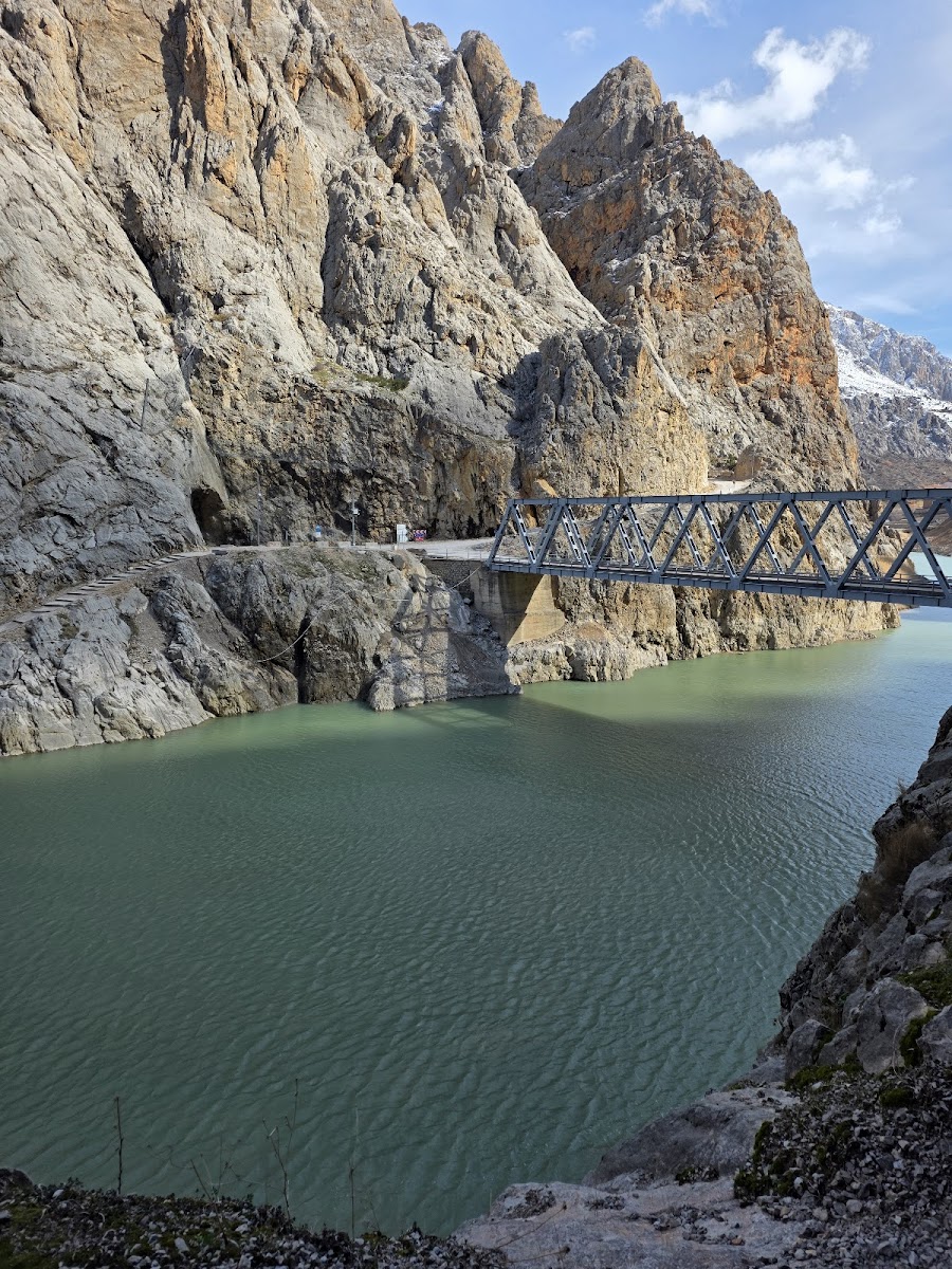 Prof. Dr. Ali DEMİRSOY Doğa Tarihi Müzesi — fotoğraf 2