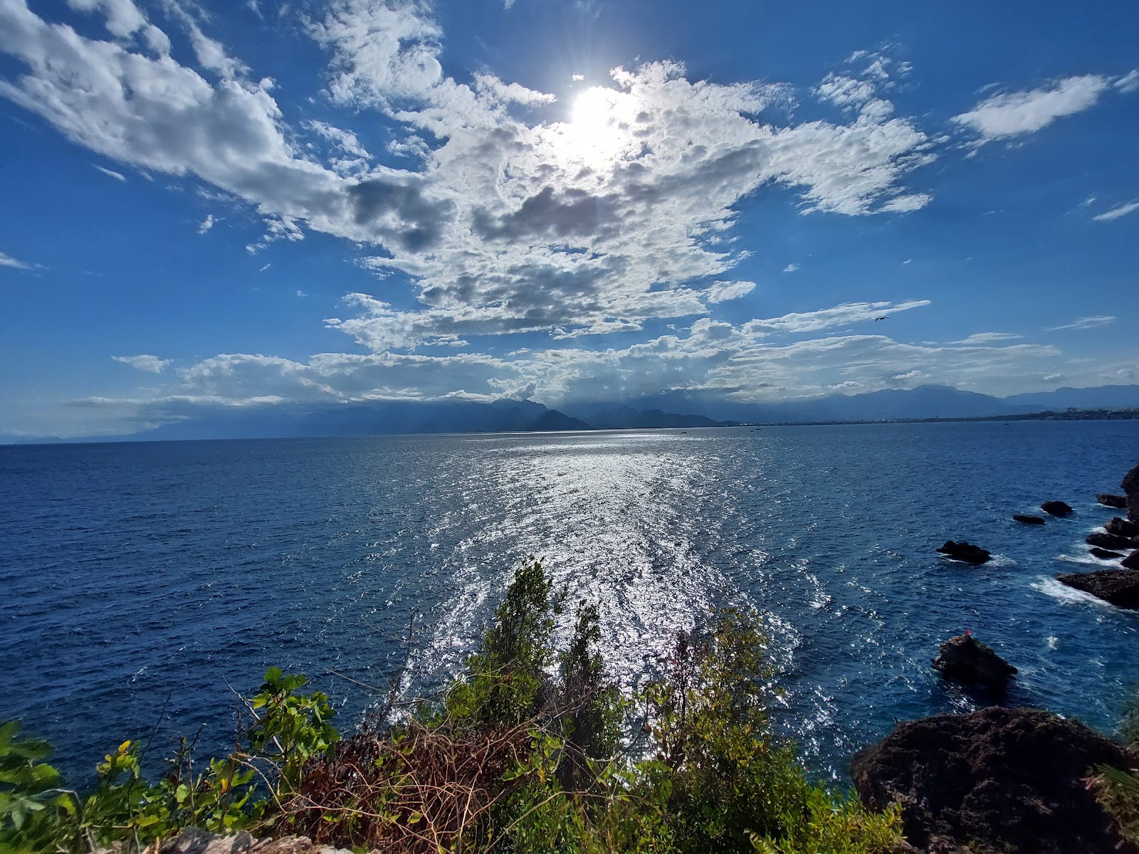 Prof. Dr. Erdal İnönü Kent Parkı — fotoğraf 5