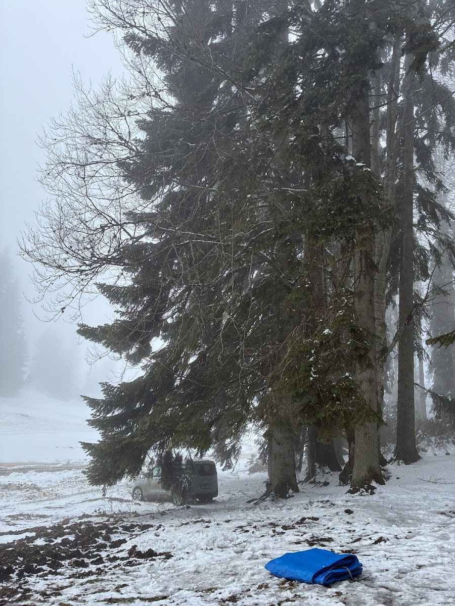 Pürenli Yaylası — fotoğraf 2
