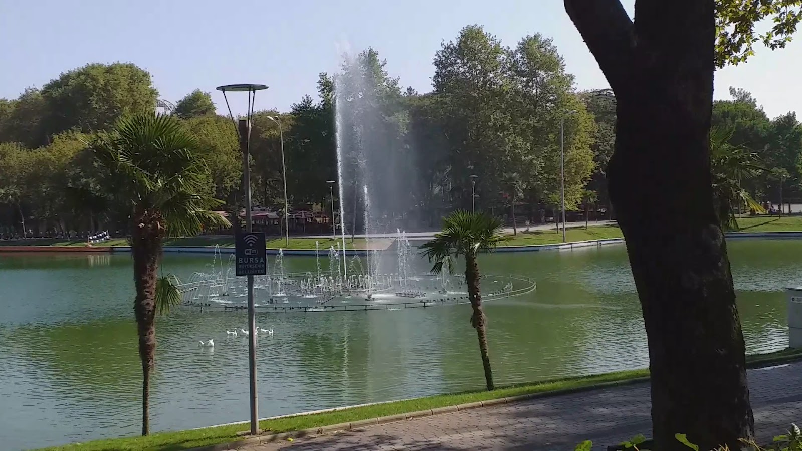 Reşat Oyal Kültür Parkı — fotoğraf 4