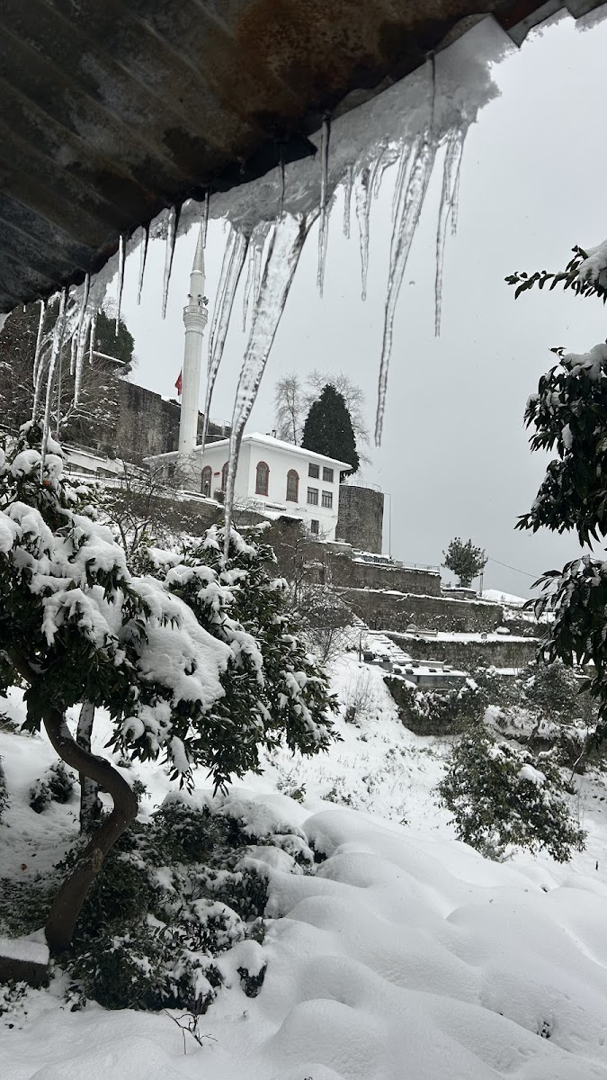 Rize Kalesi — fotoğraf 4