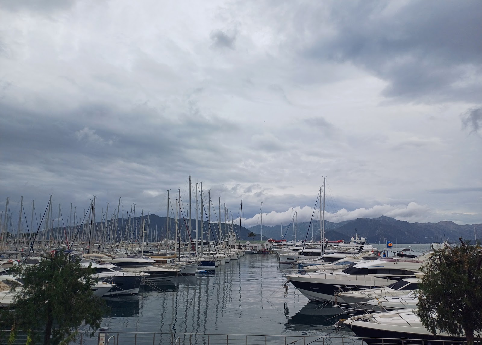 Robert's Coffee Netsel Marina — fotoğraf 2