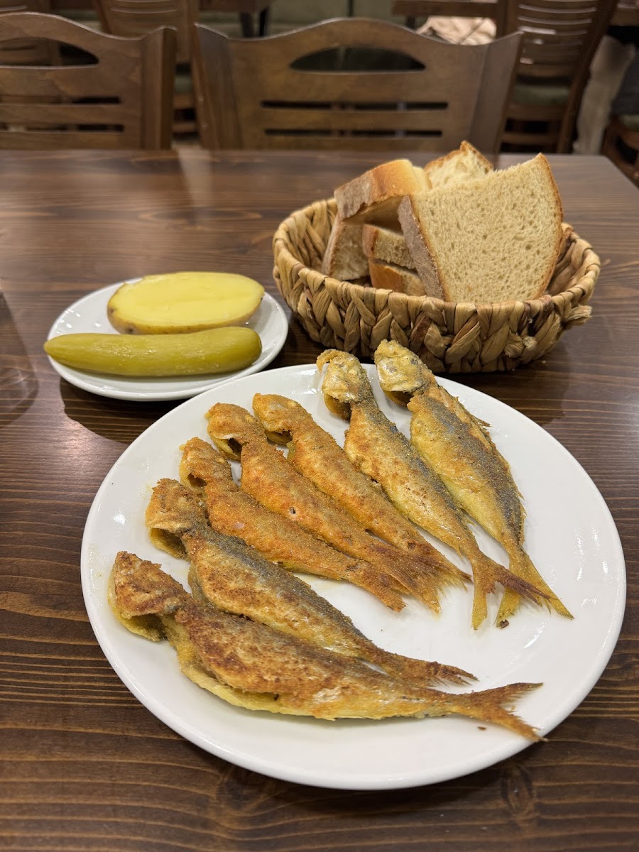 Roka Balık — fotoğraf 4