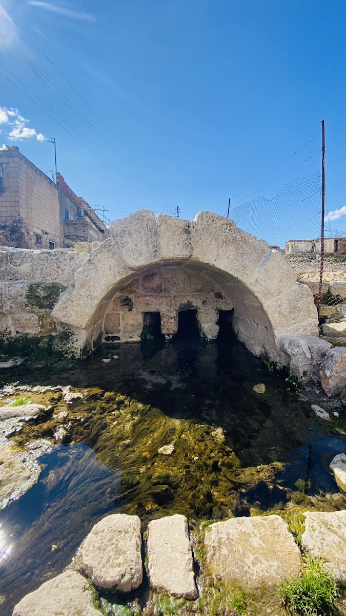 Roma Çeşmesi — fotoğraf 2