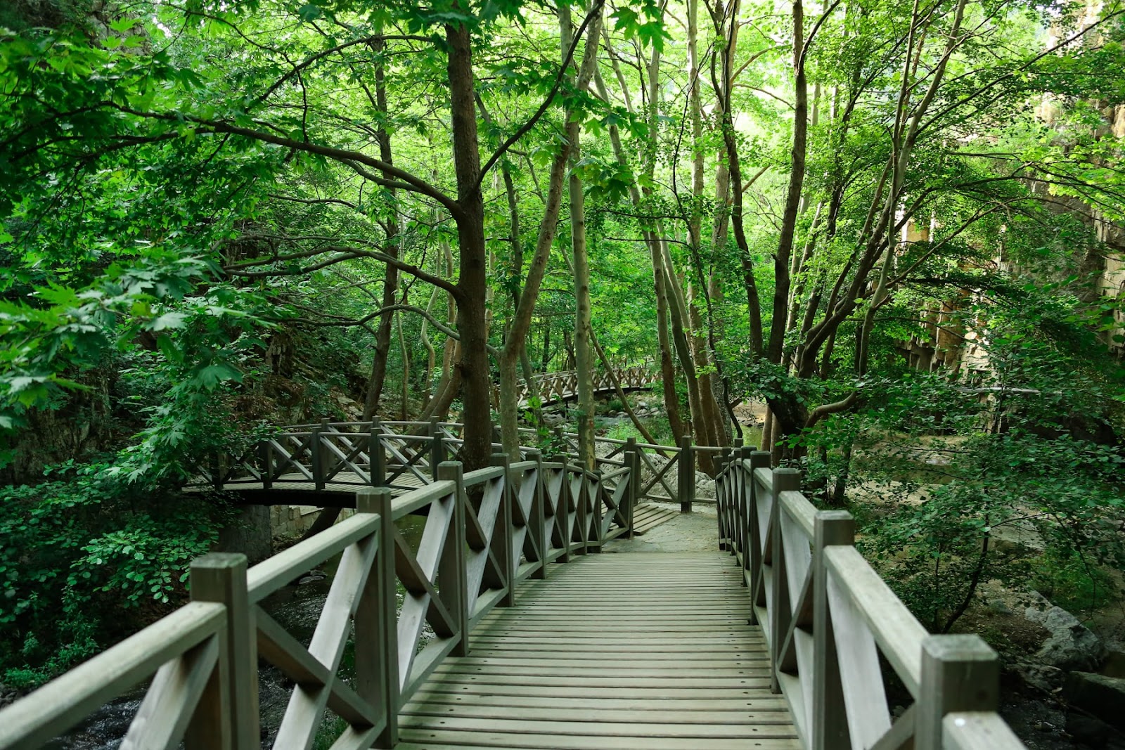Sadağı Kanyonu Tabiat Parkı — fotoğraf 1