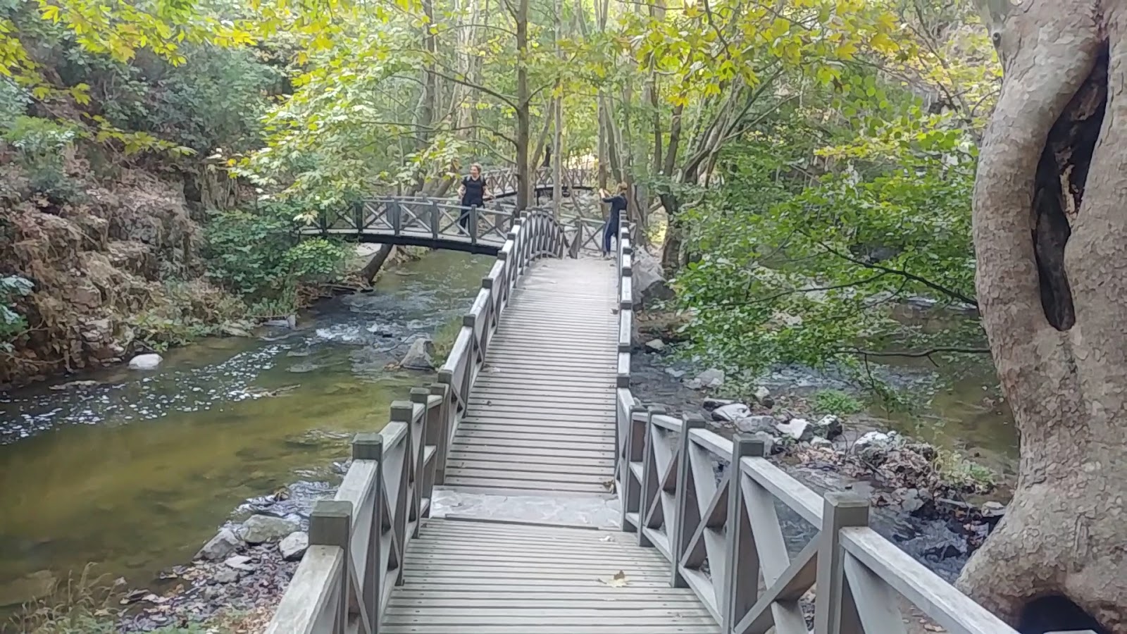 Sadağı Kanyonu Tabiat Parkı — fotoğraf 3