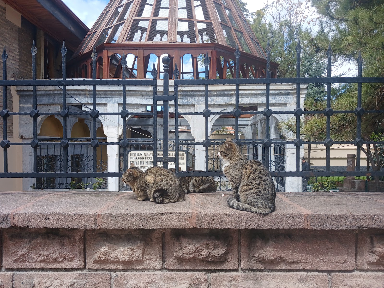 Sadreddin Konevi Hazretleri ve Türbesi — fotoğraf 2