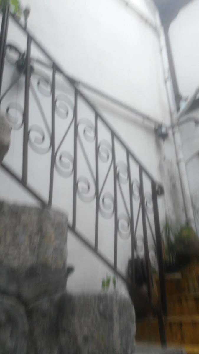 Safir Hotel — fotoğraf 3