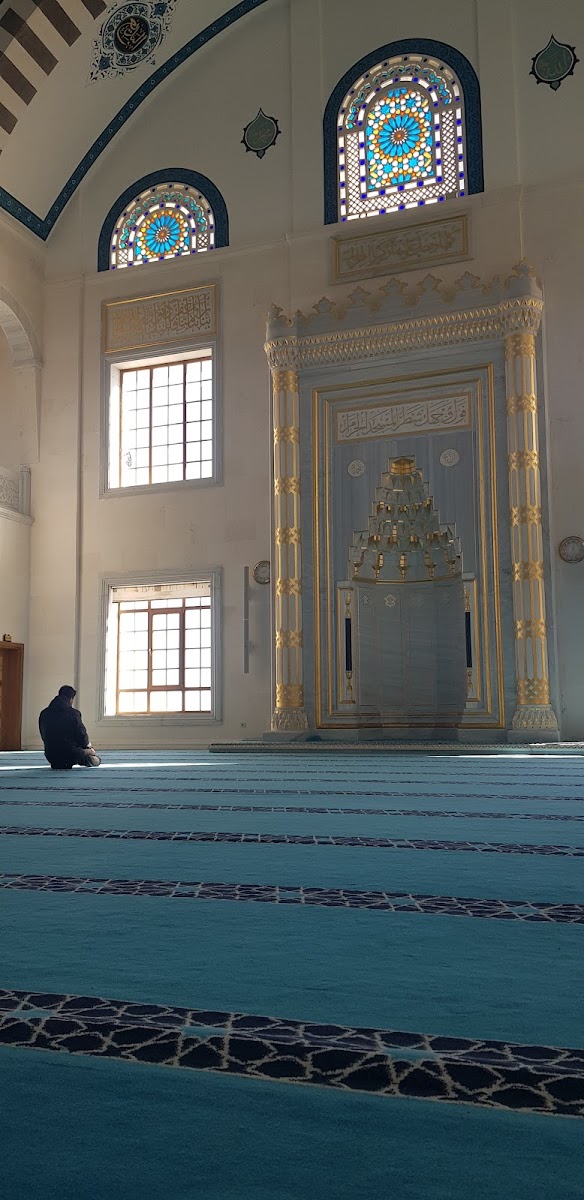 Safvan Bin Muattal Türbesi — fotoğraf 2