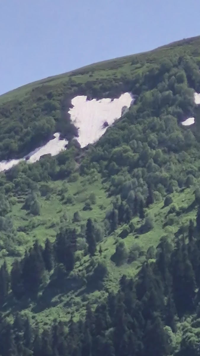 Sahara Yaylası — fotoğraf 2