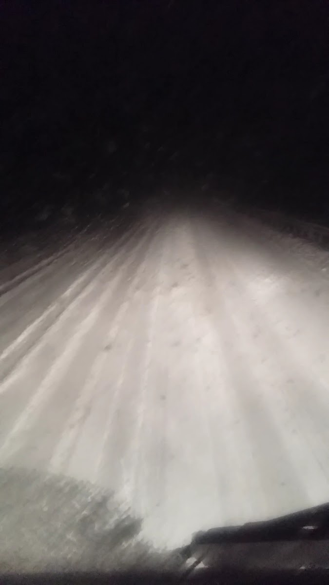 Sakaltutan Et Mangal — fotoğraf 3